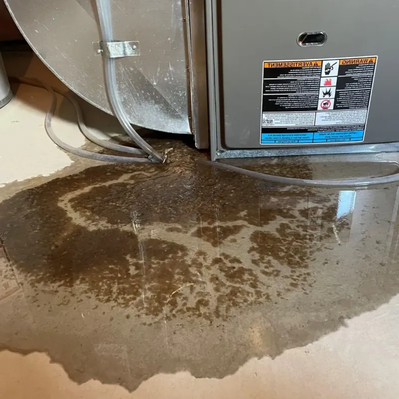 Pipe Burst and Leak Restoration in North Vernon, IN