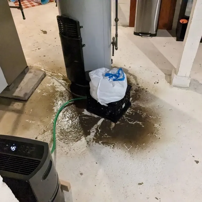 Sewage Backup Cleanup Service in North Vernon, IN